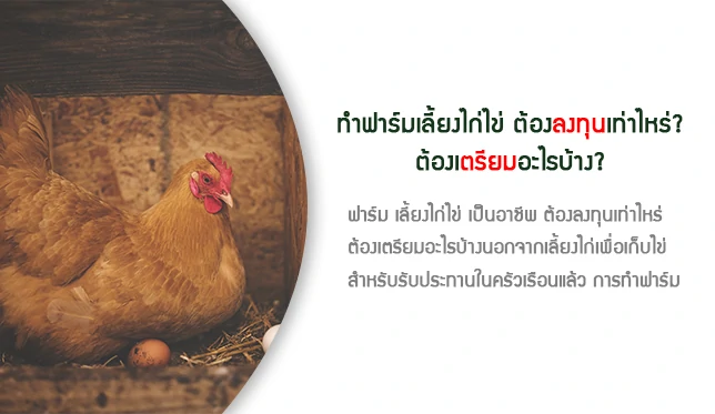 ฟาร์มไข่ไก่