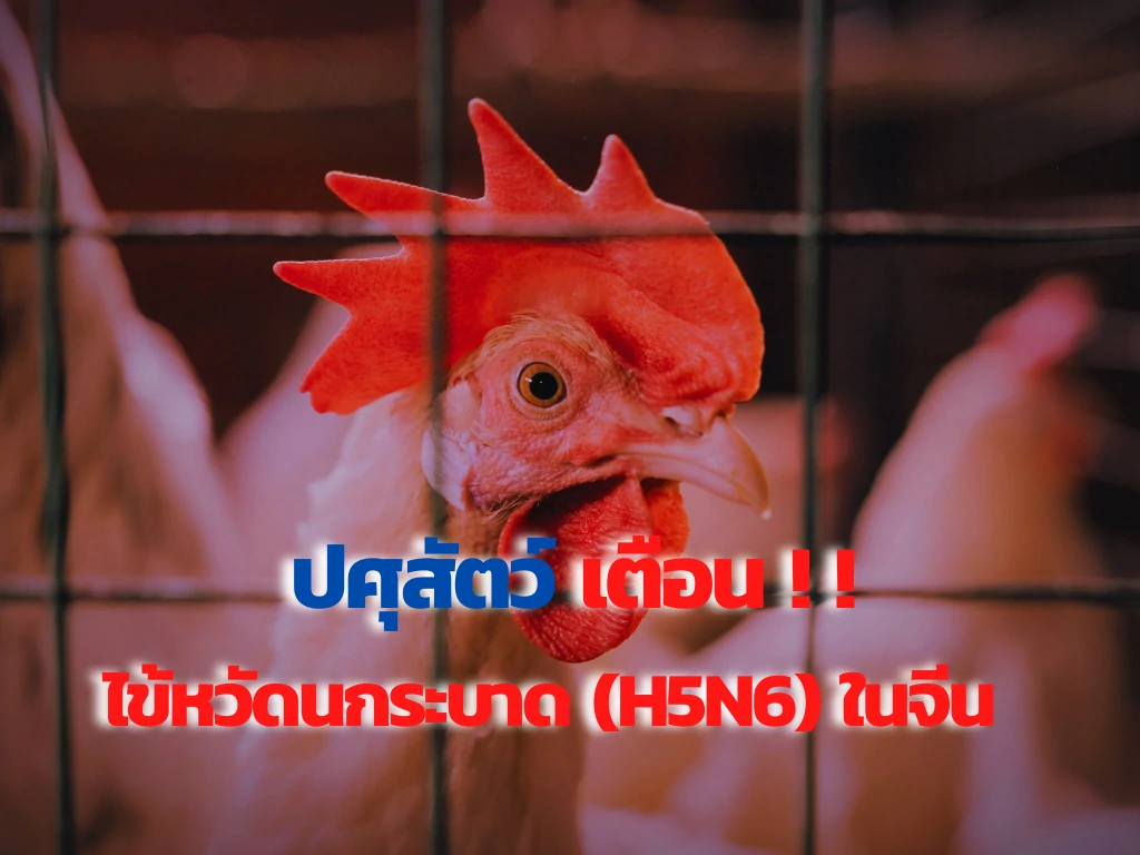 ไข้หวัดระบาดที่จีน