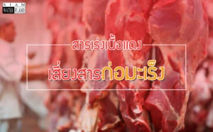 สารเร่งเนื้อแดง ในหมู