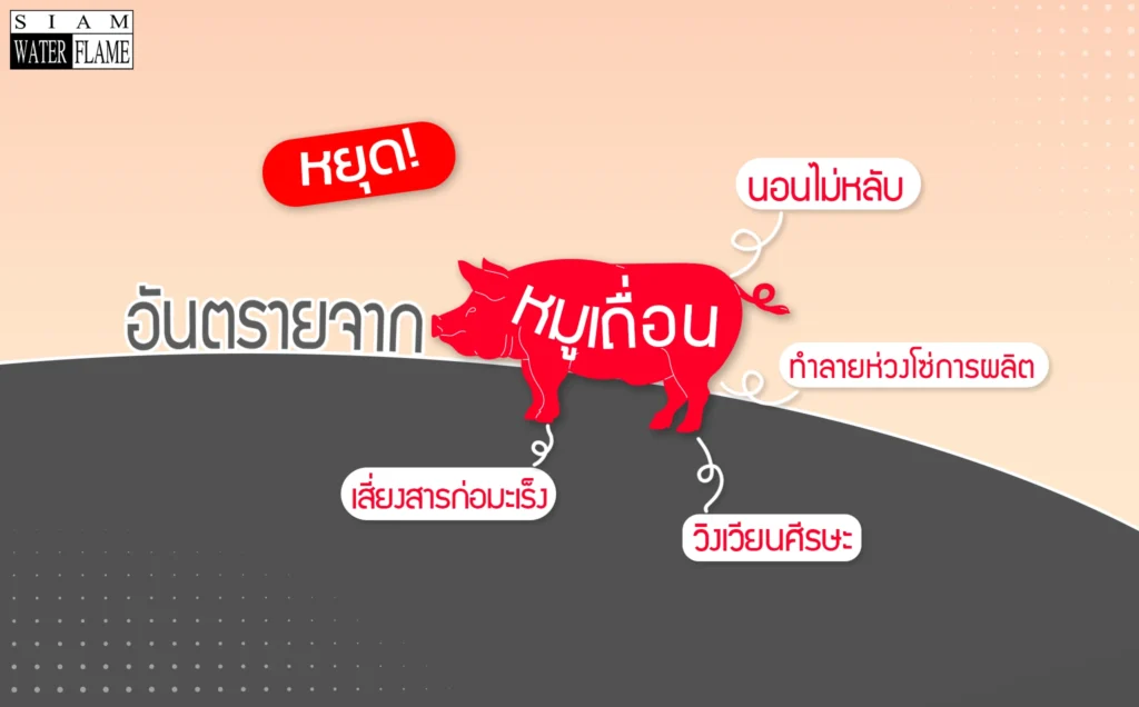 อันตรายจากหมูเถื่อน