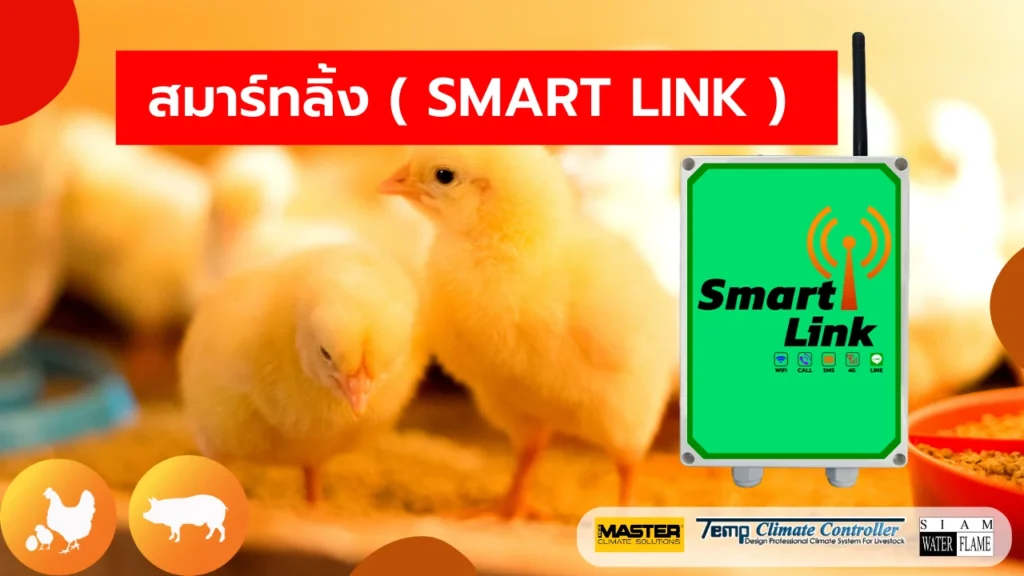 สมาร์ทลิ้ง SMART LINK