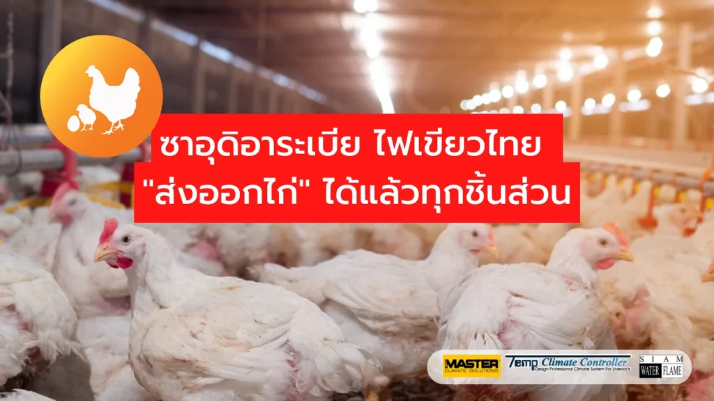 ส่งออกไก่ไทย