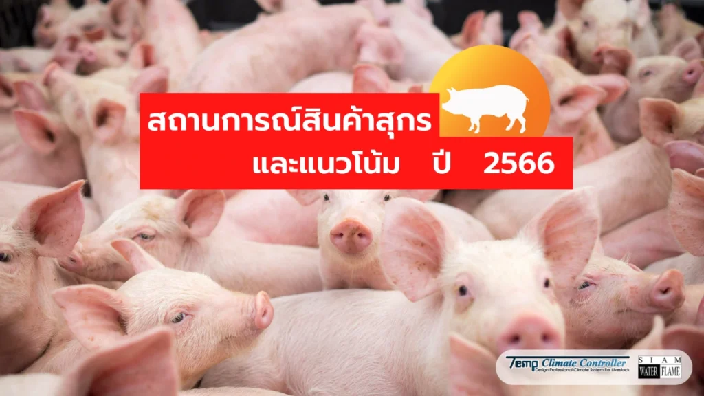 สถานการณ์สินค้าสุกรและแนวโน้ม ปี 2566