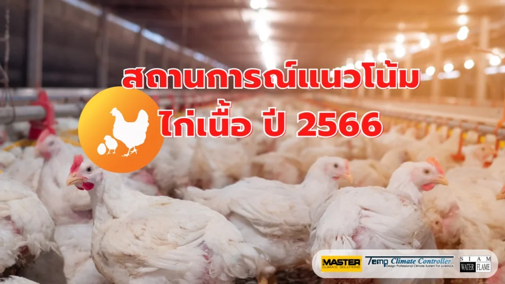 สถานการณ์แนวโน้มไก่เนื้อ ปี 2566