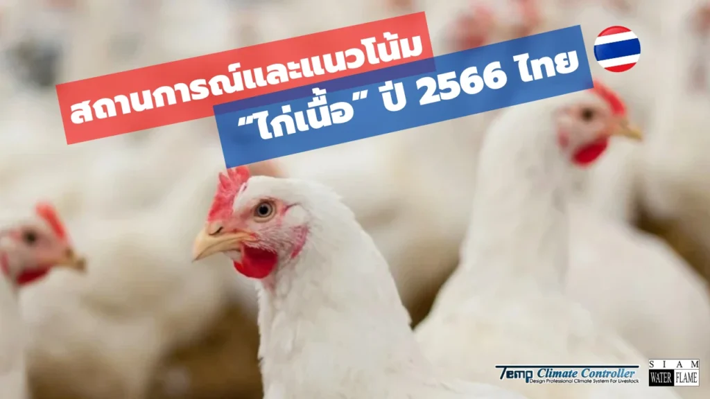 สถานการณ์และแนวโน้ม ไก่เนื้อ ปี 2566 ไทย