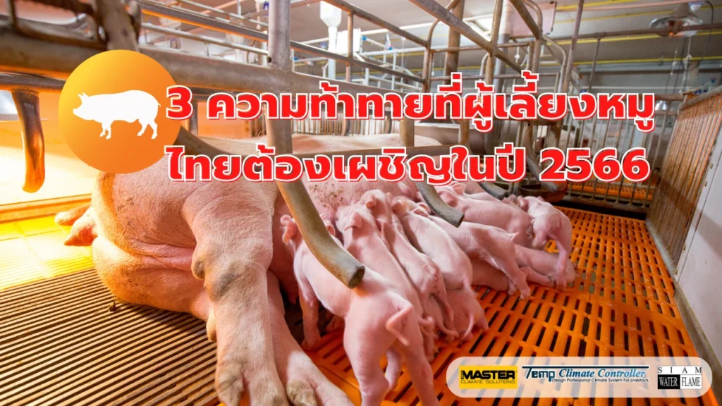 ผู้เลี้ยงหมูไทย ต้องเผชิญ ปี 2566