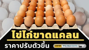 ไข่ไก่ขาดแคลน