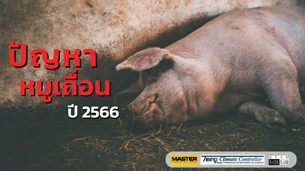 ปัญหาหมู เถือน ยังไม่จบ