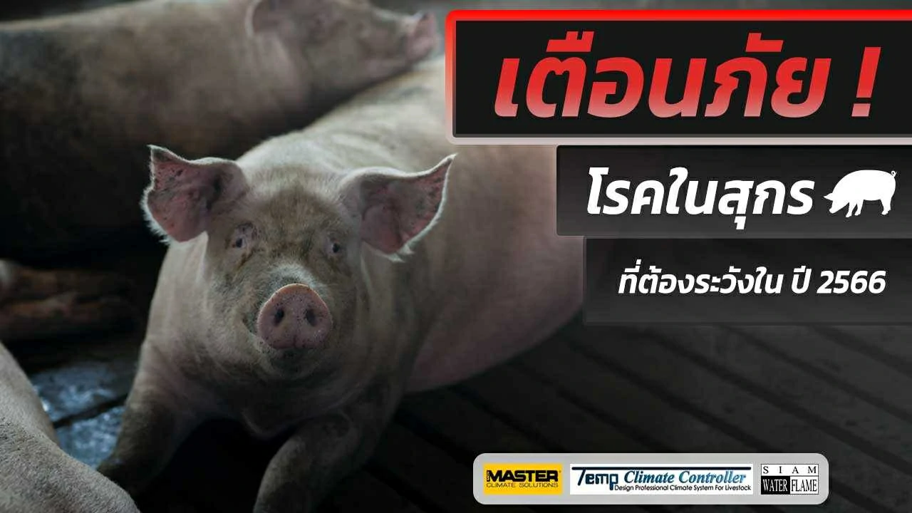 Swine diseases that are important for export
