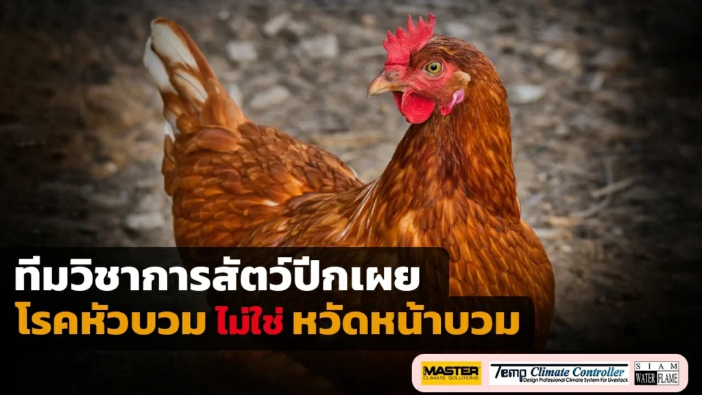 โรคหัวบวมในไก่