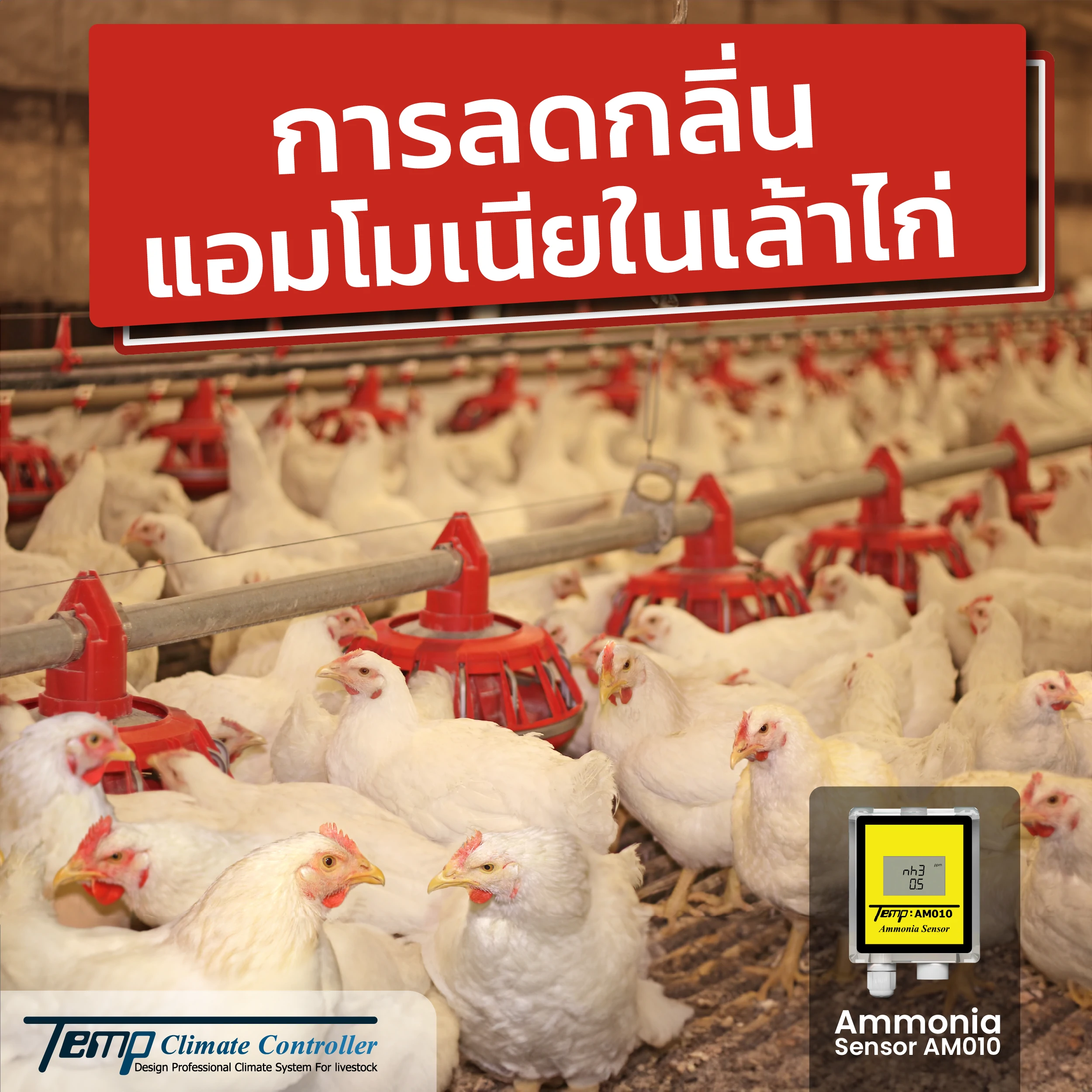 การลดกลิ่นแอมโมเนียในเล้าไก่