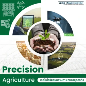 Smart Farming & Precision Agriculture